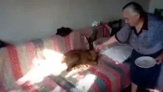 Αυτή η γιαγιά το βρήκε και το μεγάλωσε – Τώρα αυτό ζεί μαζί της [video]