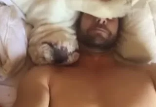 Αυτό το σκυλί κάνει έναν ξεκαρδιστικό θόρυβο κάθε φορά που ξυπνά. [video]