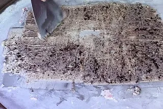 Πώς φτιάχνουν παγωτό στη Ταυλάνδη