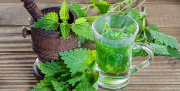 Τα «μαγικά» βότανα για γρήγορο αδυνάτισμα και αποτοξίνωση