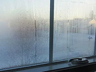 Έχετε υγρασία και μούχλα στο σπίτι; Δείτε τι φταίει και πώς να το αντιμετωπίσετε!