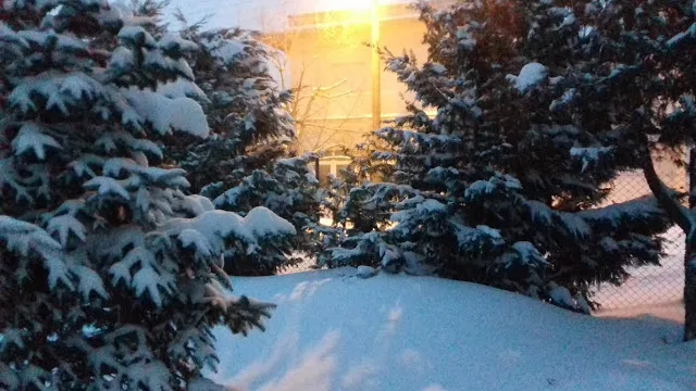 Η λειτουργία των σχολείων στον Έβρο την Παρασκευή 13/1/17 (συνεχής ενημέρωση)