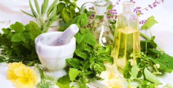 Προσοχή: Αυτό είναι το βότανο που σε κάνει να θυμάσαι μέχρι και 75% καλύτερα!