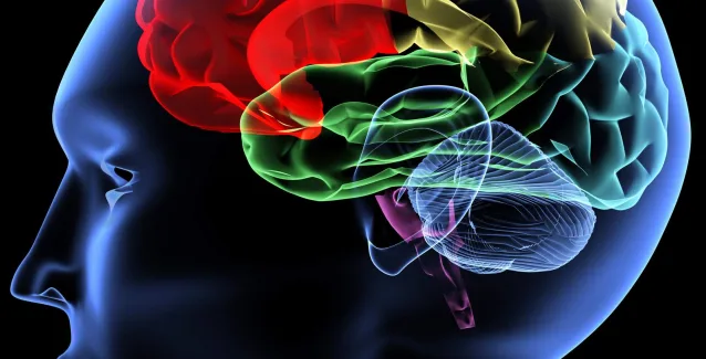 Ο εγκέφαλος λειτουργεί ως εμπόδιο στην προσπάθεια αλλαγής των συνηθειών
