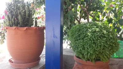 ΑΥΤΟΝΟΜΗ ΚΙΝΗΣΗ ΠΟΛΙΤΩΝ για ΤΟ ΔΗΜΟ ΟΡΕΣΤΙΑΔΟΣ: << EINAI ΣΤΟ ΧΕΡΙ ΜΑΣ >>