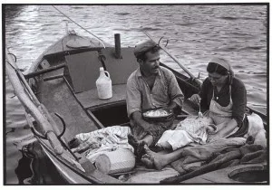 Επικαιροποιήθηκε το study4exams