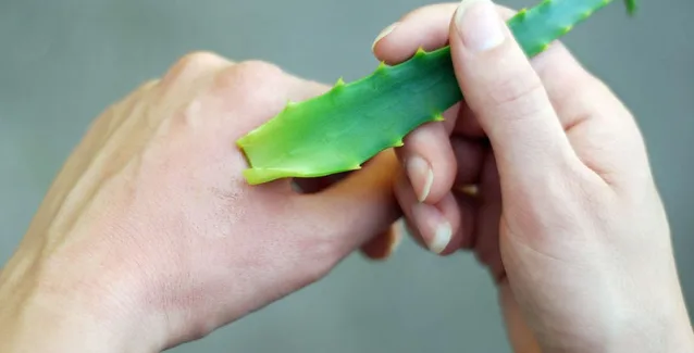 Πονοκέφαλος – φαγούρα – κοψίματα: Αντιμετώπιση με 6 φυσικά υλικά