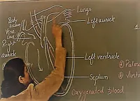 Όπως αναμενόταν, δόθηκε τελικά παράταση στην υποβολή αιτήσεων για μεταθέσεις