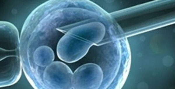 Γιατί αποτυγχάνουν οι εξωσωματικές – Τι δείχνουν πρόσφατα επιστημονικά ευρήματα