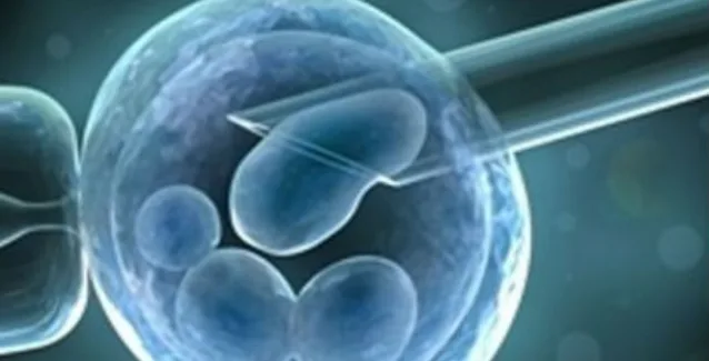 Γιατί αποτυγχάνουν οι εξωσωματικές – Τι δείχνουν πρόσφατα επιστημονικά ευρήματα