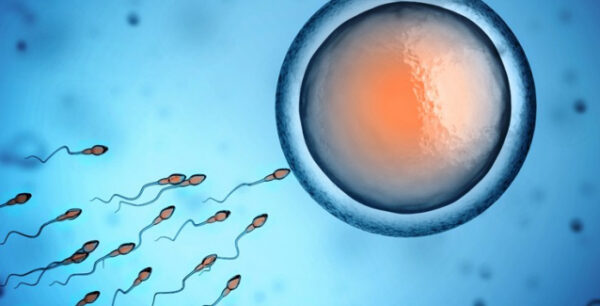 Οι τρεις διατροφικοί εχθροί της ανδρικής γονιμότητας