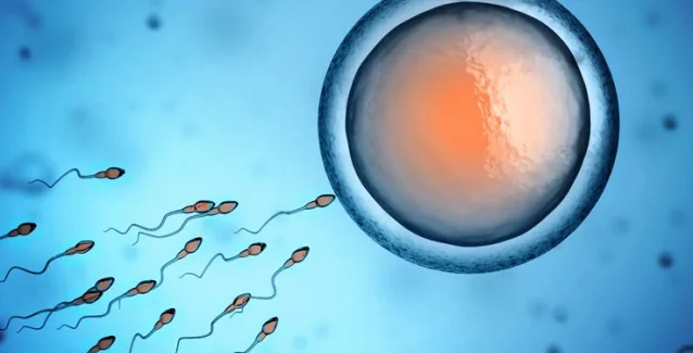 Οι τρεις διατροφικοί εχθροί της ανδρικής γονιμότητας