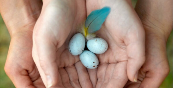 Μέθοδος Έλληνα γιατρού βοηθά γυναίκες με πρόωρη εμμηνόπαυση να κυοφορήσουν