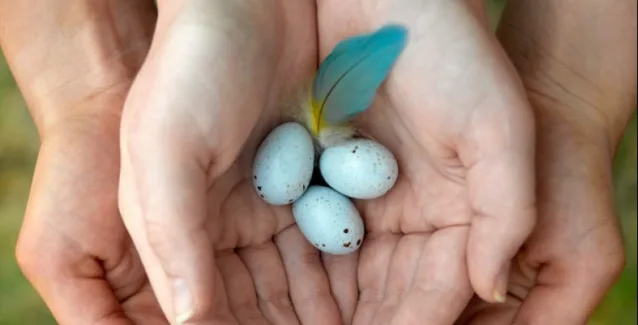 Μέθοδος Έλληνα γιατρού βοηθά γυναίκες με πρόωρη εμμηνόπαυση να κυοφορήσουν