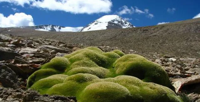 Σε όσο μεγαλύτερο υψόμετρο ζει κανείς, τόσο λιγότερο κινδυνεύει από μεταβολικό σύνδρομο