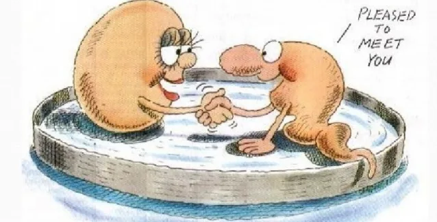 Αναξιοποίητες δυνατότητες στην υποβοηθούμενη αναπαραγωγή