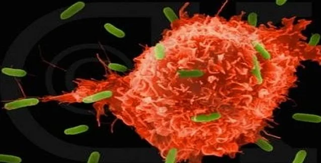 Τα νέα όπλα εναντίον του καρκίνου