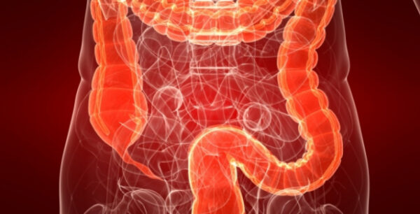 Ρωσίδα βιολόγος – Νομπελίστρια: Ο θάνατος του ανθρώπου ξεκινά από το στομάχι και το παχύ έντερο -Ποια τα σημάδια της κακής λειτουργίας