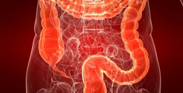 Ρωσίδα βιολόγος – Νομπελίστρια: Ο θάνατος του ανθρώπου ξεκινά από το στομάχι και το παχύ έντερο -Ποια τα σημάδια της κακής λειτουργίας