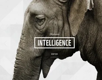 Μαθαίνουμε για τα ζώα με τη βοήθεια της WWF