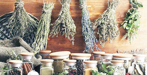 Το φαρμακείο της φύσης: Αυτά τα βότανα σας βοηθούν κατά του γήρατος, της κόπωσης και του καρκίνου!