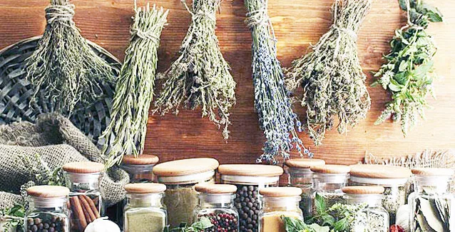 Το φαρμακείο της φύσης: Αυτά τα βότανα σας βοηθούν κατά του γήρατος, της κόπωσης και του καρκίνου!