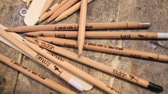 Αντισυνταγματικός ο Ν4327/15 για την επιλογή Διευθυντών Σχολικών Μονάδων