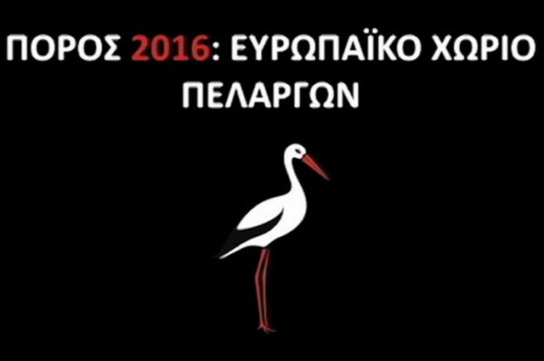 Το «Χωριό των Πελαργών» του Πόρου Φερών χρειάζεται την ψήφο μας!