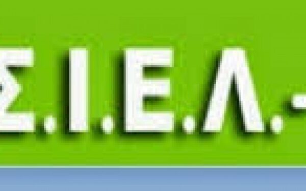 ΤΟ ΝΕΟ ΔΣ ΤΟΥ ΣΙΕΛΒΕ – ΑΝΤΙΠΡΟΕΔΡΟΣ Ο ΑΓΩΝΙΣΤΗΣ ΣΥΝΑΔΕΛΦΟΣ ΧΟΤΣΙΚΑ ΝΙΧΑΤ