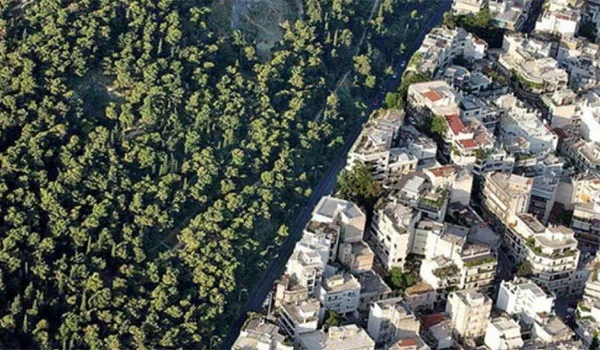 Δασικές εκτάσεις: Εξαγορά με 30 ευρώ το μήνα σε 100 δόσεις