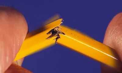 Συμμετοχή ΟΛΤΕΕ στην στάση εργασίας και την διαμαρτυρία τη Δευτέρα 15 Γενάρη