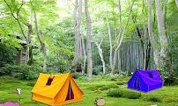 ΟΑΕΔ Δωρεάν κατασκηνώσεις: Αιτήσεις στο oaed.gr