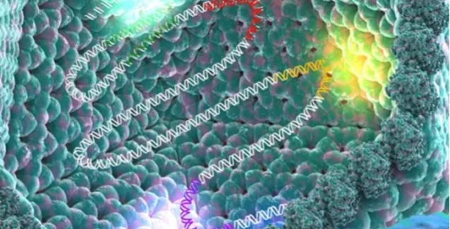 Έλληνας ερευνητής πίσω από την ανακάλυψη ομάδας γιγάντιων ιών