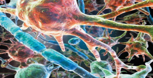 Πόσο κοντά βρισκόμαστε στη θεραπεία του καρκίνου;