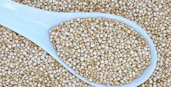 Κινόα: Αυτή είναι η τροφή που σώζει από σοβαρές ασθένειες και δεν την τρώει κανένας