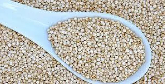 Κινόα: Αυτή είναι η τροφή που σώζει από σοβαρές ασθένειες και δεν την τρώει κανένας