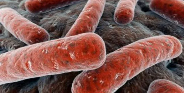 Σύστημα τεχνητής νοημοσύνης κάνει διαγνώσεις φυματίωσης