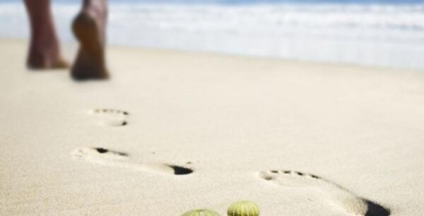 Πατήσατε αχινό; Δείτε τι πρέπει να κάνετε