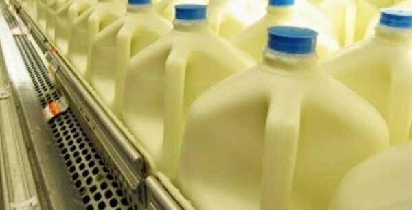 Επιστήμονας του Harvard: “Σταματήστε να πίνετε γάλα με Χαμηλά Λιπαρά!”