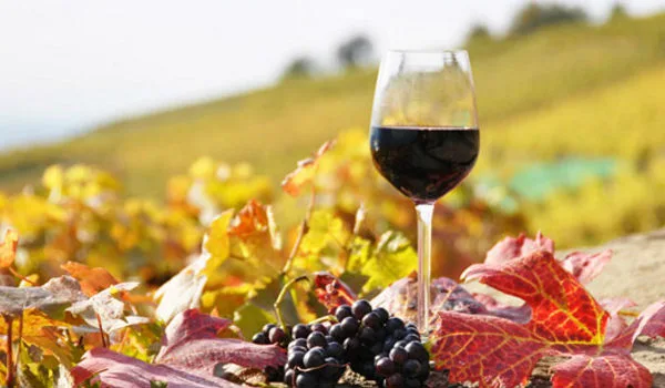 Αποστόλου: Καταργείται ο ειδικός φόρος κατανάλωσης στο κρασί