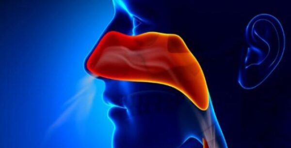 Δείτε γιατί μπορεί αυτές τις ζεστές μέρες να έχετε βουλωμένη μύτη