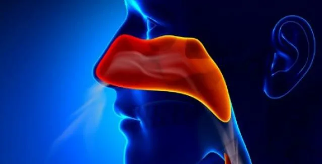 Δείτε γιατί μπορεί αυτές τις ζεστές μέρες να έχετε βουλωμένη μύτη