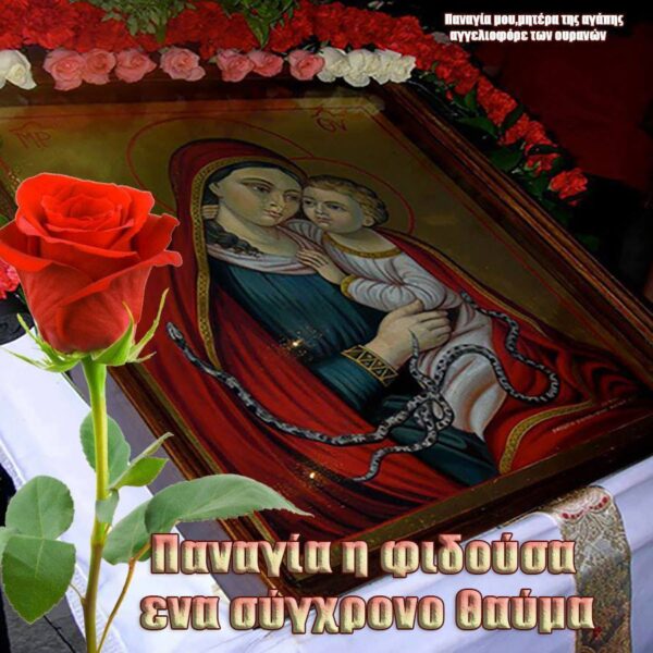 Ένα σύγχρονο θαύμα – Τα φιδάκια της Παναγίας