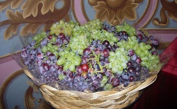 Γιατί η εκκλησία ευλογεί τα σταφύλια στις 6 Αυγούστου