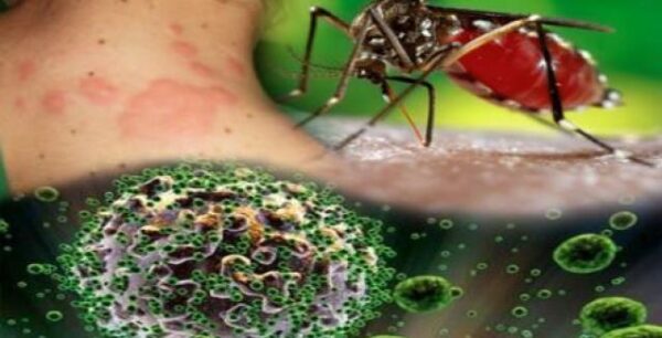 Τα συμπτώματα του Ιού του Δυτικού Νείλου