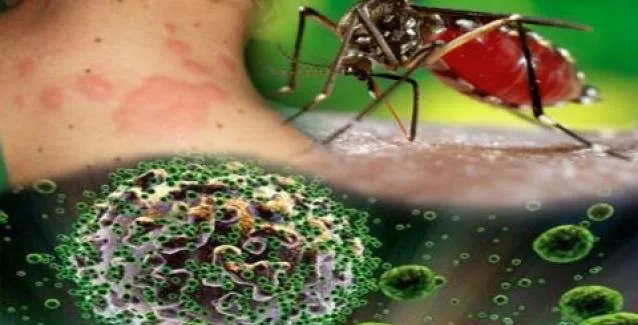 Τα συμπτώματα του Ιού του Δυτικού Νείλου