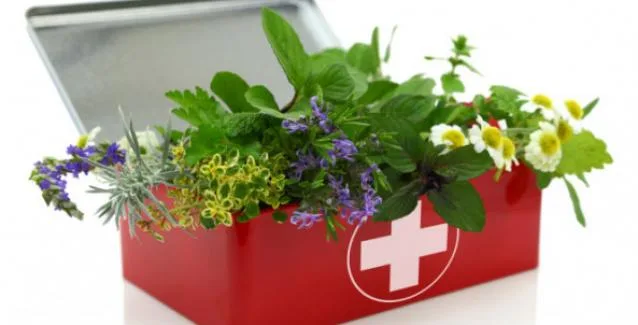 Ημικρανίες: Ποια βότανα τις καταπολεμούν