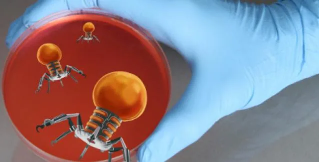 Φαρμακευτικά νανορομπότ «κολυμπούν» στο στομάχι θεραπεύοντας λοιμώξεις και έλκη