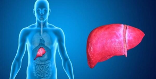 Το συκώτι θέλει μεγάλη προσοχή – Φυσικοί τρόποι για να έχετε υγιές ήπαρ