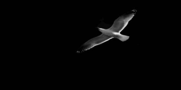 Τα συγκλονιστικά λόγια της δασκάλας για τη μάνα που χάθηκε έξω από το σχολείο των παιδιών της